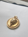 14k gold plated Lion 🦁 pendant